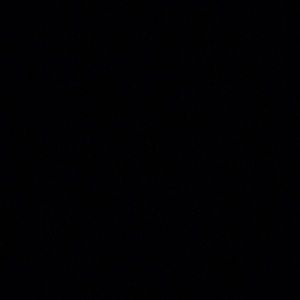 Meet your Posher, Marcelus